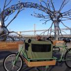 A Kaleidoscope of Clyde’s